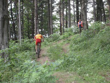 Forstmayr Tom