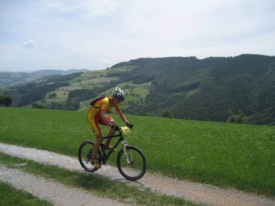 Fellner HC
