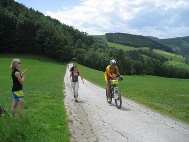 Fellner HC